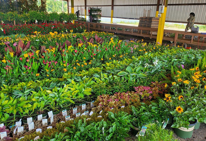 Forty Under 40 Perspectives: A day in the life of plant protection