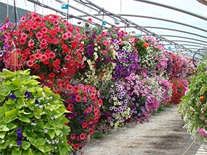 The Garden Gateway of Utah