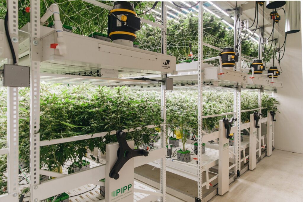 Pipp Horticulture Acquires Vertical Air Solutions