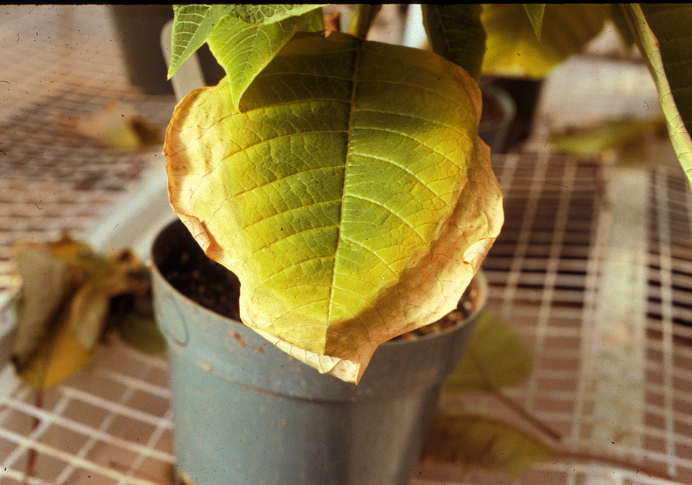 Water Quality and Treatments