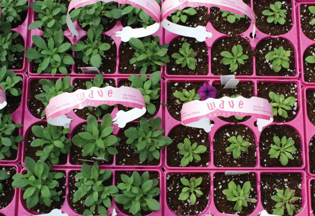 Spring crop edition: Don’t take turns, make them!