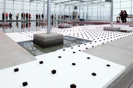 Former Golf Course Grows into State of the Art Hydroponic Greenhouse