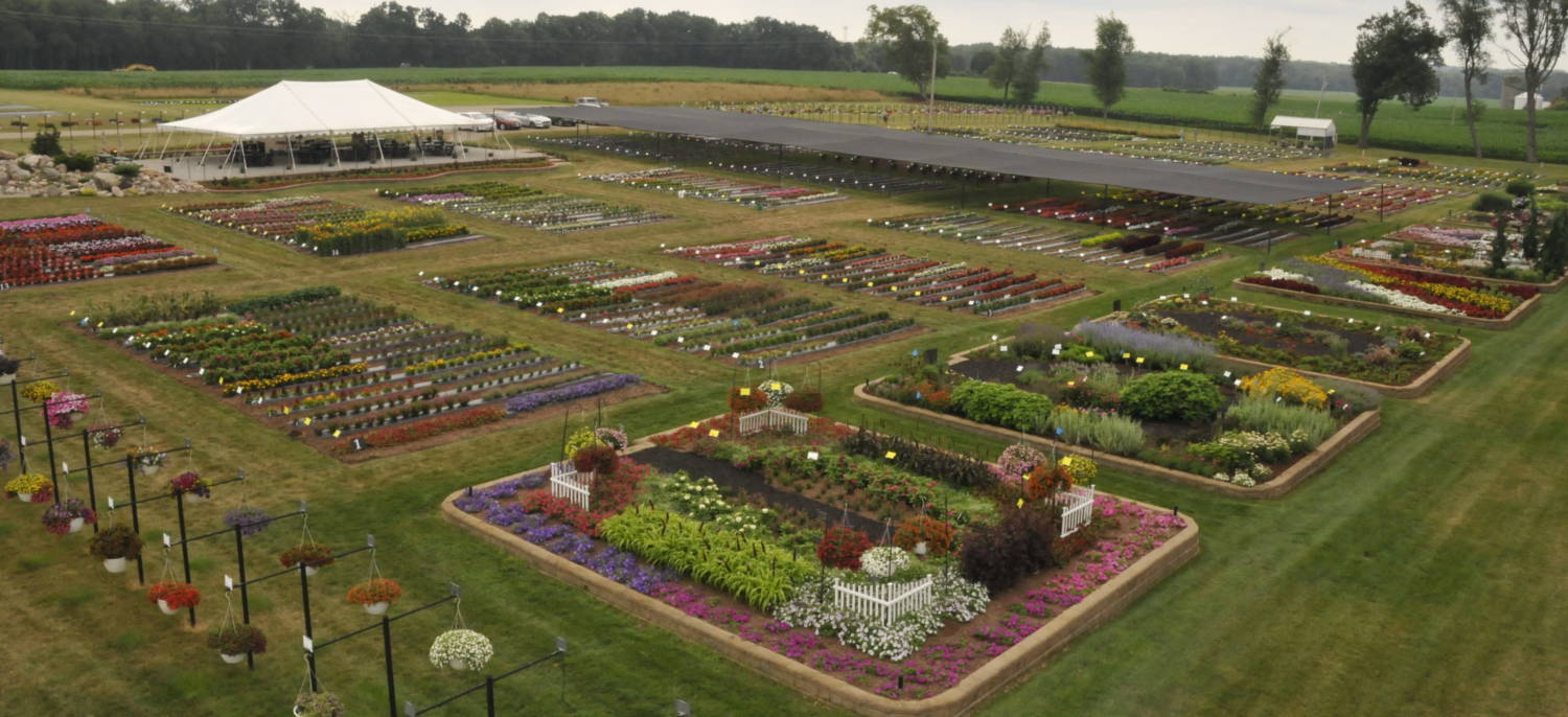 Raker-Robertas trial garden