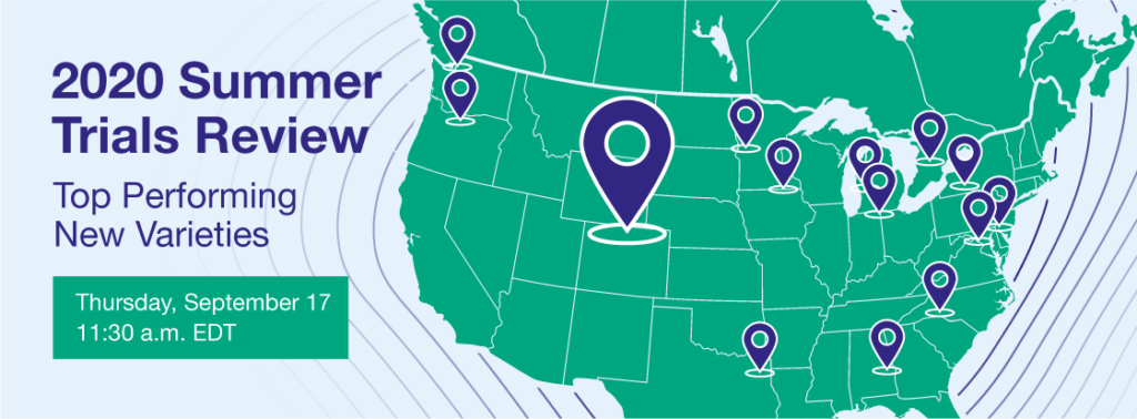 Syngenta Flowers Highlights Summer Trials Results