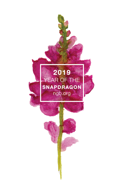 Deadline Approaching for NGB ‘Year of’ Video Contest