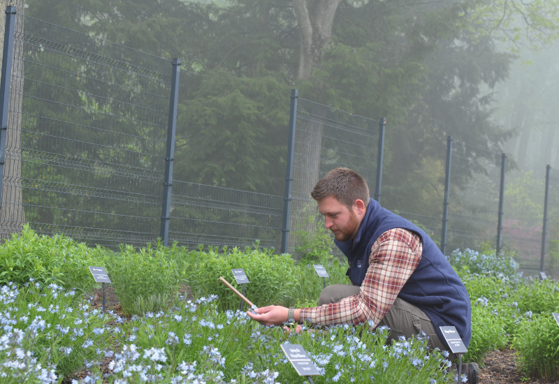 Forty Under 40 Perspectives: Native plant trials at Mt. Cuba Center