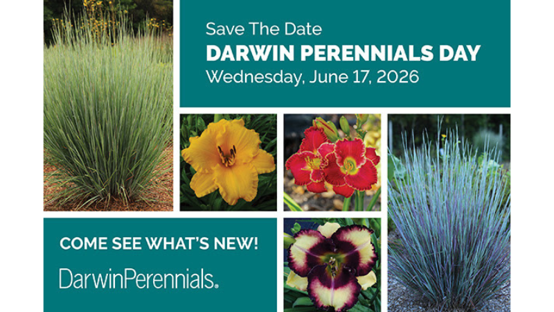Darwin Perennials Day save the date flyer