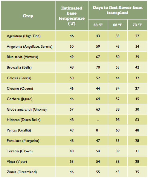 Cold-Sensitive Bedding Plants