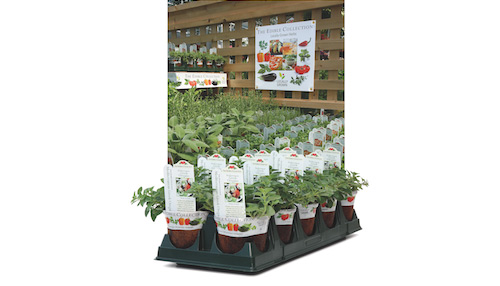 The Edible and Fragrant Collections