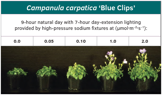 Managing Light Pollution