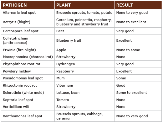 New Biopesticides for Greenhouse Crops