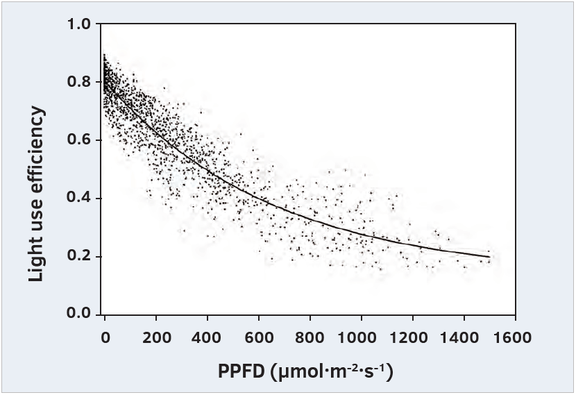 Not All DLIs Are the Same