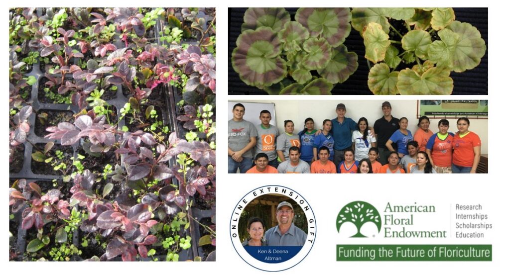 The second UF online greenhouse training course starts in July