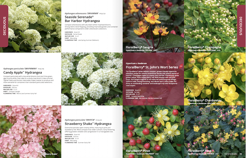 ThinkPlants shares new shrub catalog