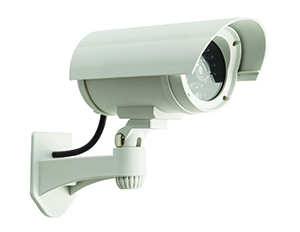 Monitoring Marijuana