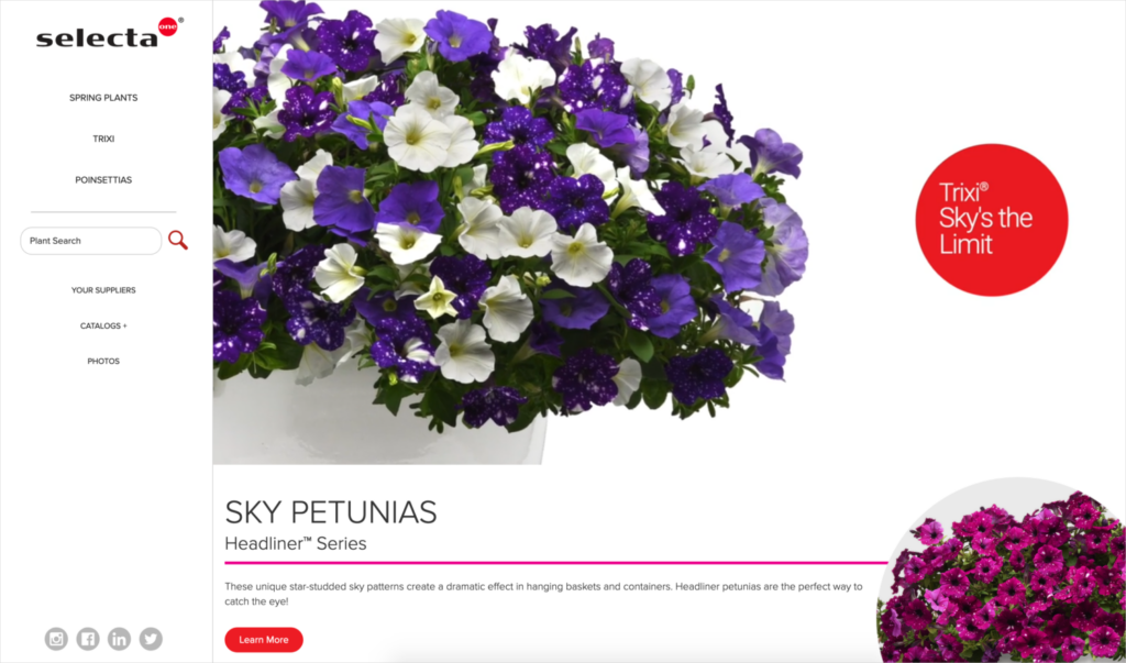 Selecta One Launches New Website