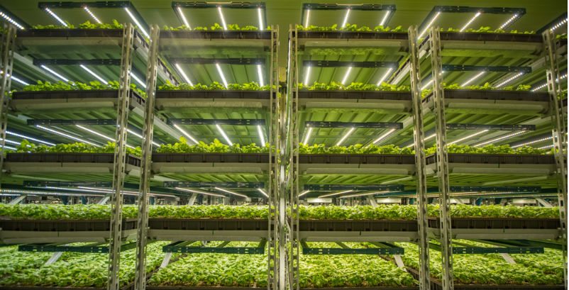 Shenandoah Growers, Fluence Bioengineering Collaborate