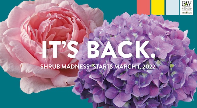 Shrub Madness Returns for 2022