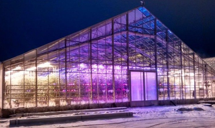 Philips Hosts LED Lighting Event in Finland