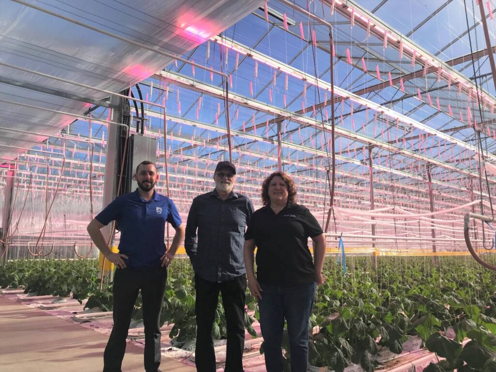 Glenwood Valley Farms Upgrades LED Lights for Cucumber Growing