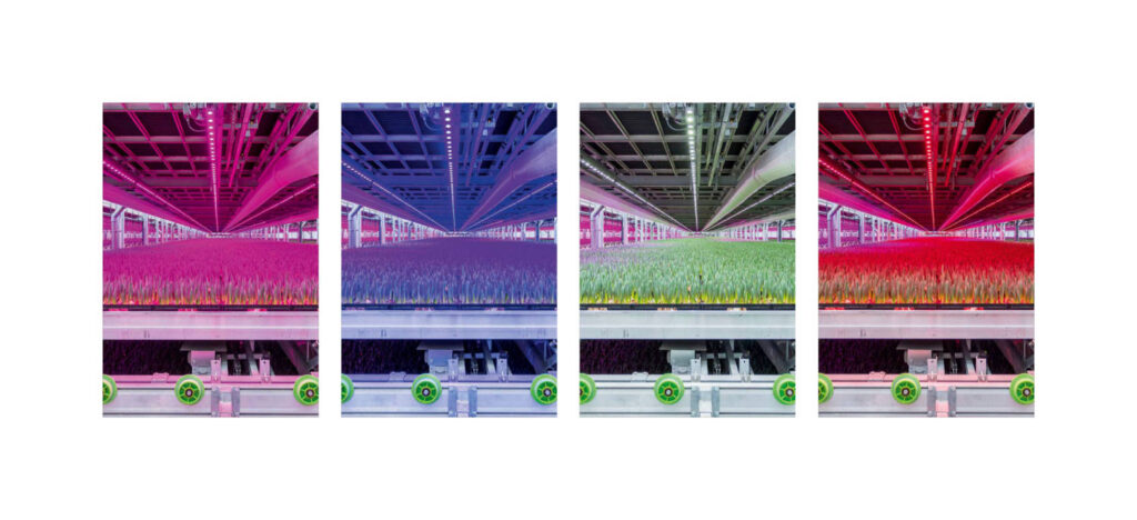 Signify Expands GrowWise Control System