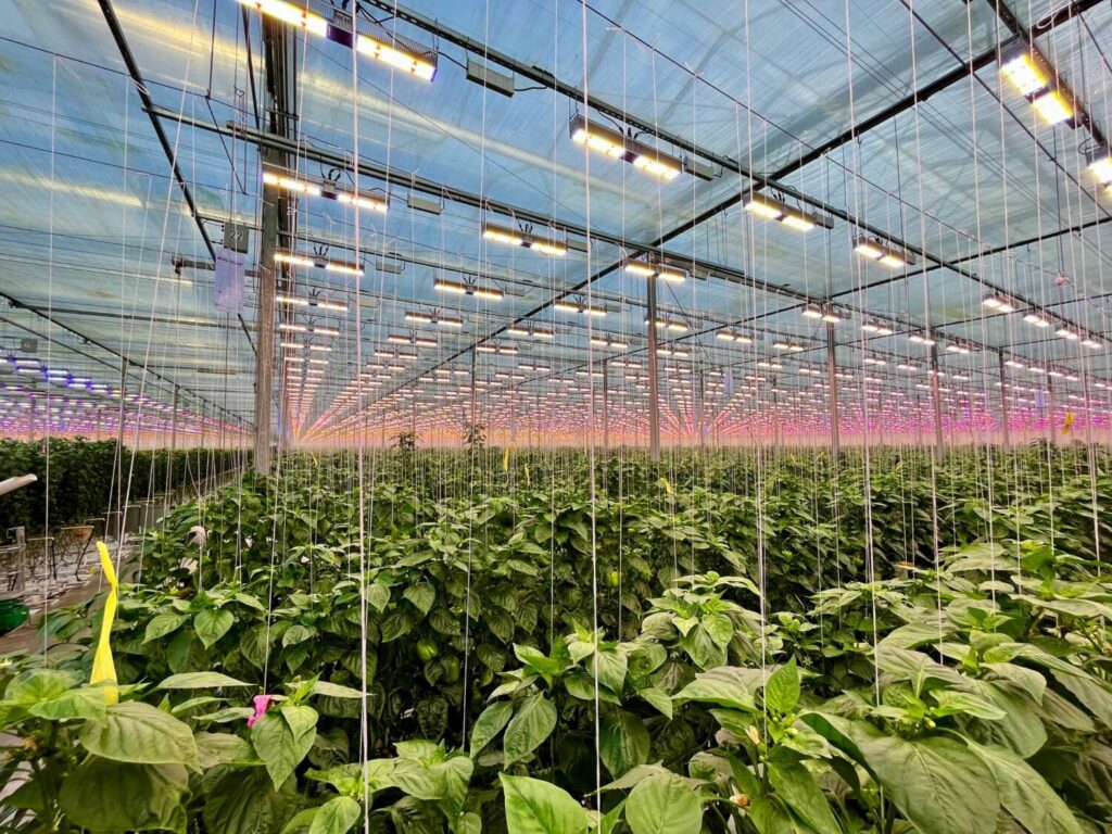 Sollum Technologies launches research program SEARCH 1