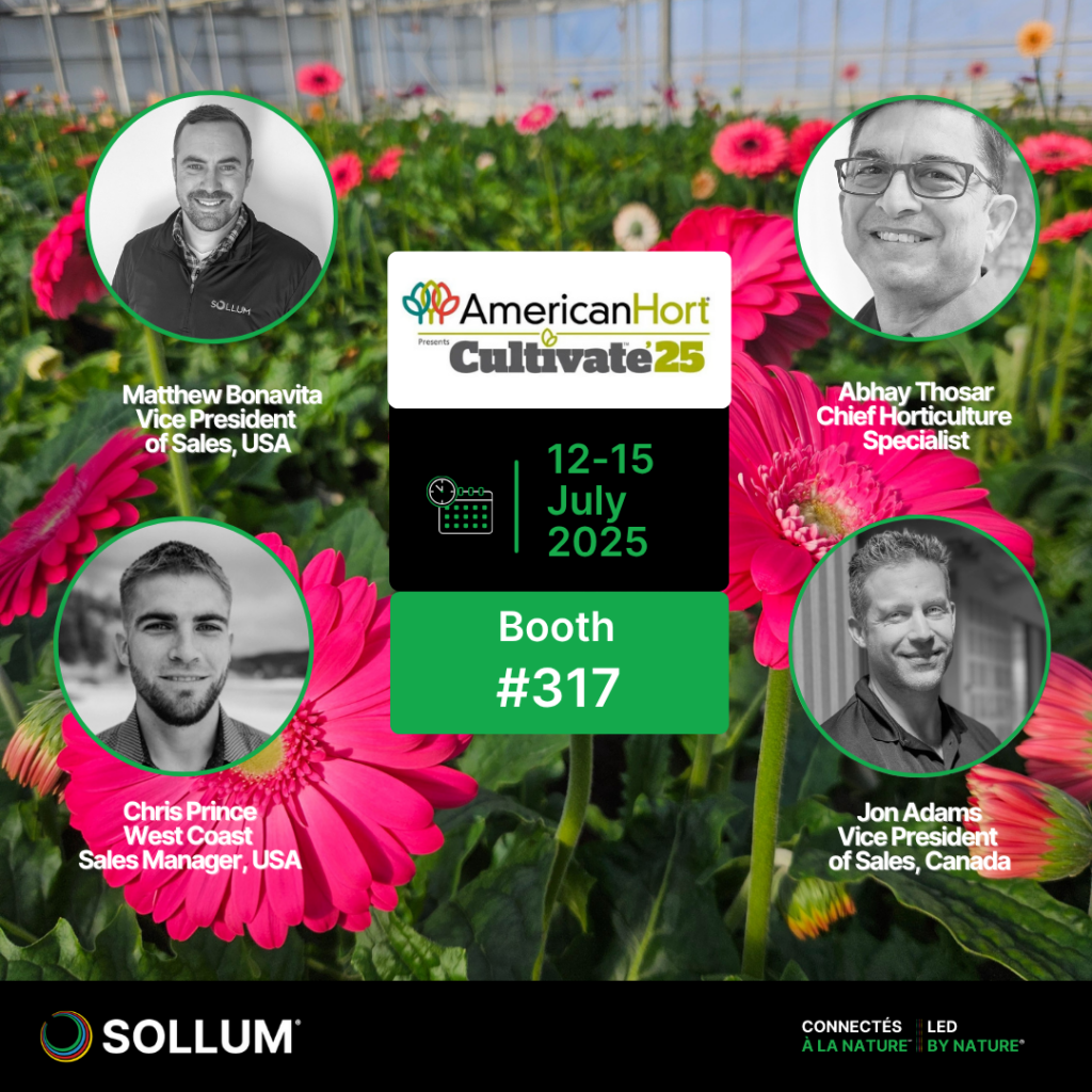 Sollum to showcase dynamic LEDs at Cultivate’25