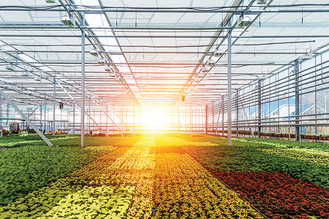 Greenhouse training program expands with new irrigation courses