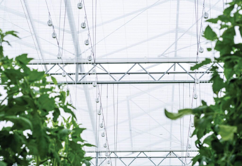 Scaling up greenhouse structures