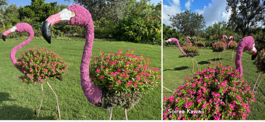 Florida botanical garden features Suntory Flowers’ flamingo topiaries