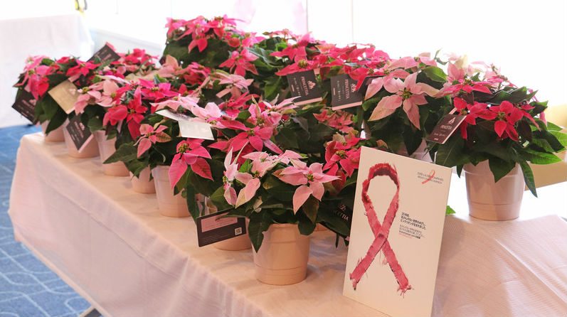 Princettia Promotes Breast Cancer Awareness in Japan