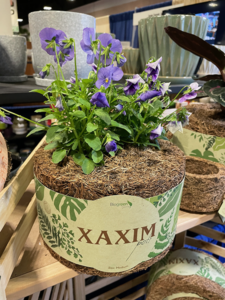 TPIE2022-BioFink-planters (1)-SM