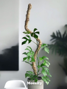 TPIE2022-Mossify Bendable Moss Pole with logo-SM