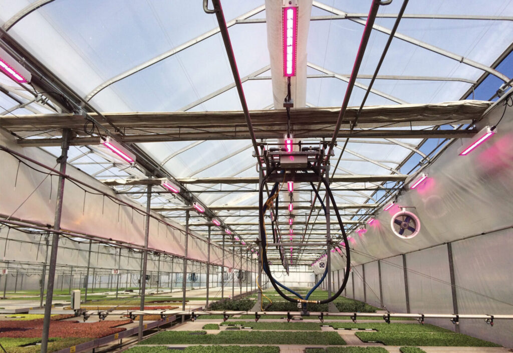 Technically Speaking: Managing light during cutting propagation