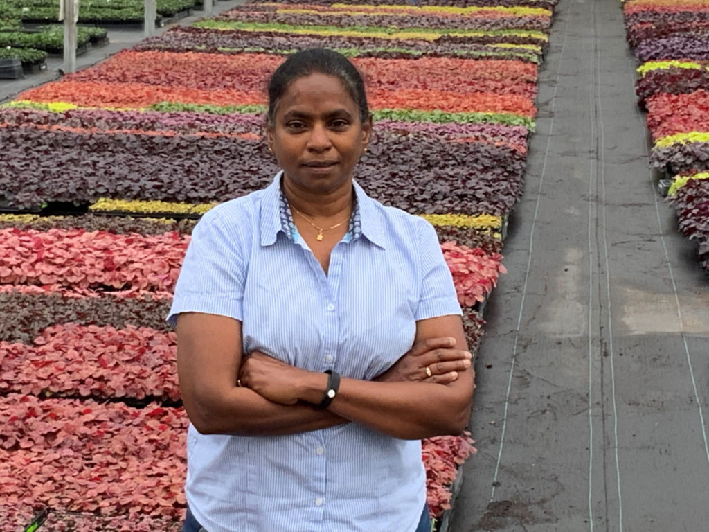 Terra Nova Nurseries Names New General Manager