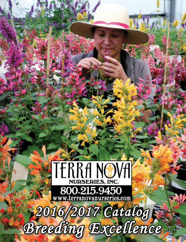 New Terra Nova Nurseries Catalog Now Available