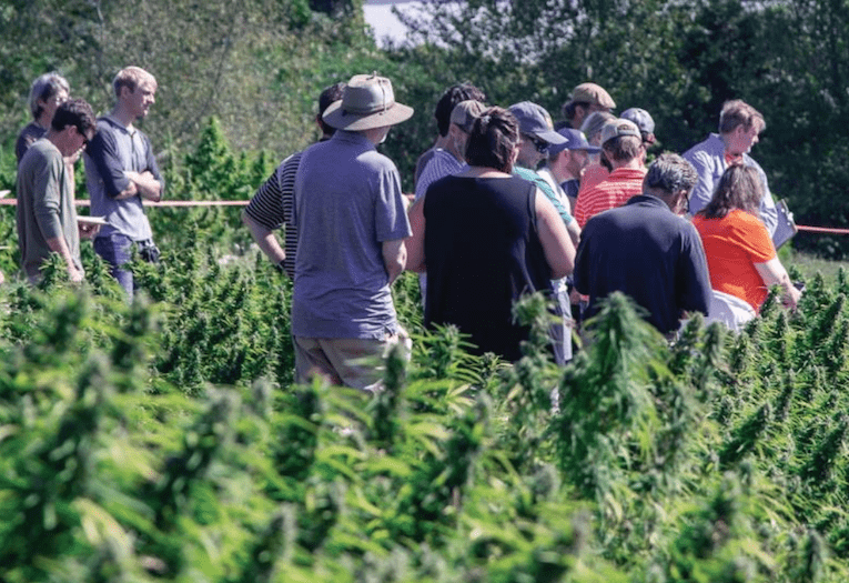 The Hemp Mine Hosting September Field Days