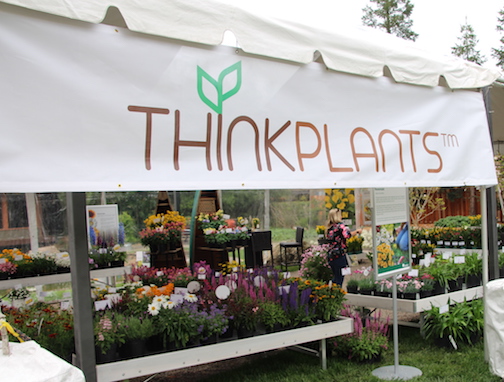 ThinkPlants Celebrates First Anniversary