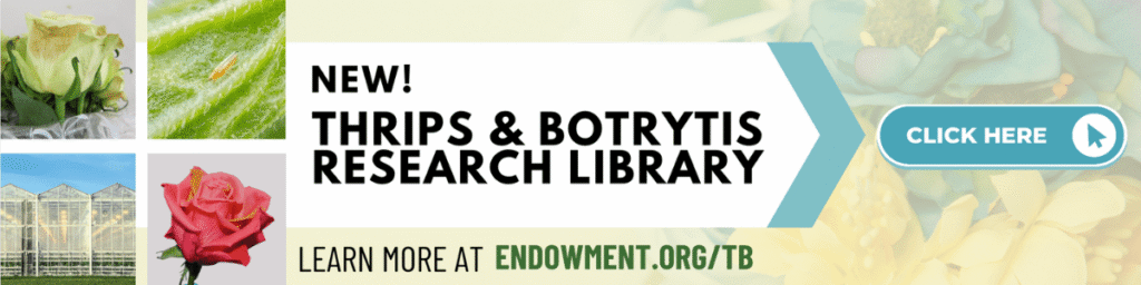 AFE releases online library of thrips and Botrytis resources