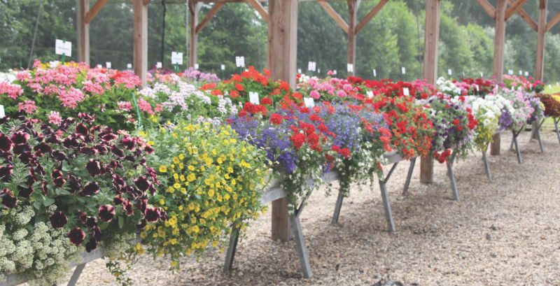 Trialing and Trendspotting Across the Atlantic