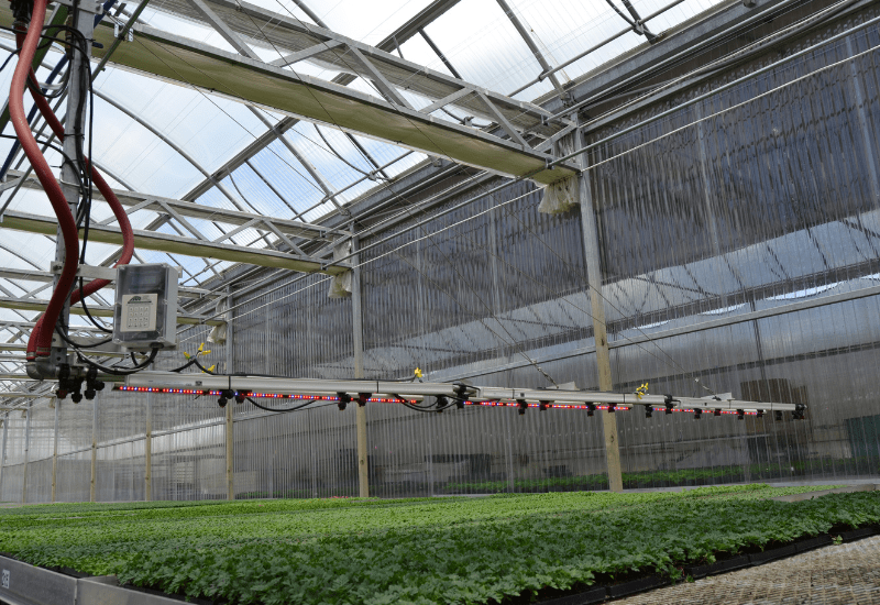 Now is the time for LED lighting