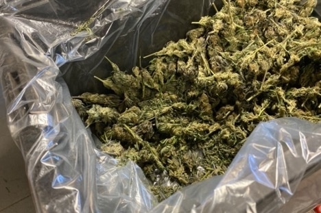 Study Analyzes Tension Between Legal Cannabis, Financial Industry