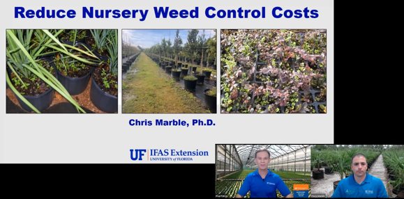 UF Produces Greenhouse Weed Control Video
