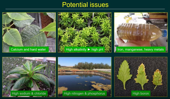 New Video Addresses Irrigation Water Quality