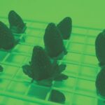 Exposing some types of fruit, like strawberries, to LED light after harvest has the potential to improve postharvest quality, including flavor, color, nutrient content and shelf life.