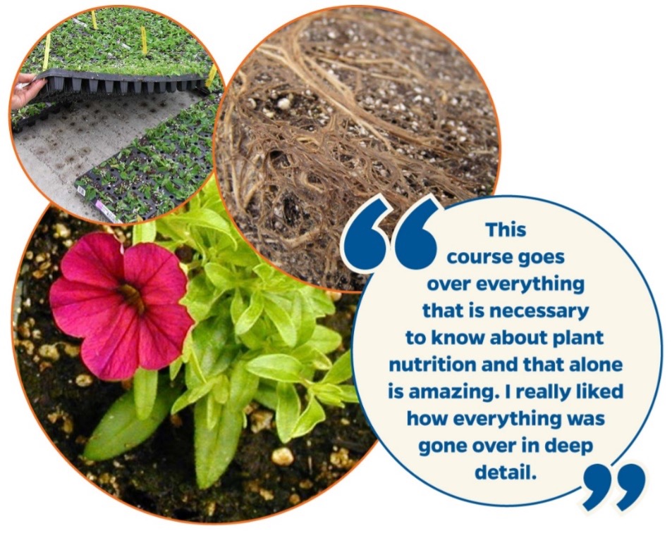 University of Florida Greenhouse Training With Online Courses