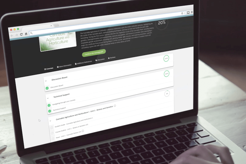 University of Denver Launches Cannabis Certificate Programs