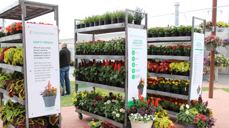 PanAmerican Seed launches ‘Sow Fast. Grow Fast.’ program