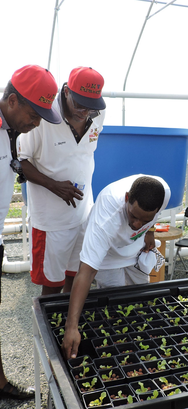 The Center for Urban Research, Engagement & Scholarship at the University of the District of Columbia runs a robust Extension program across urban food hubs where community members learn how to produce hydroponic and aquaponic crops alongside students.