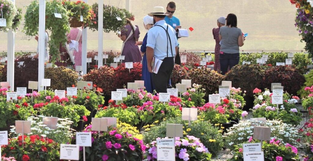 Plantpeddler Hosts 2018 Variety Day